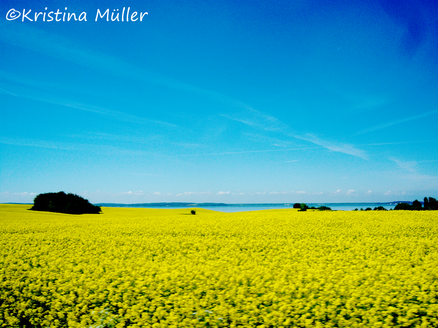 Copyright Kristina Müller